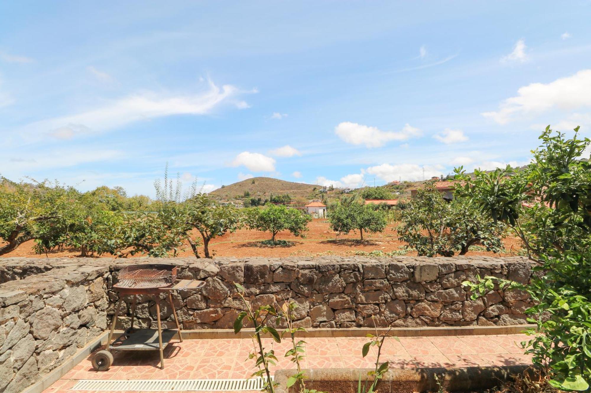 Countryside Views House Teror Apartment Ngoại thất bức ảnh